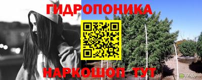 сатива Будённовск