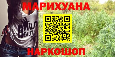 сатива Будённовск