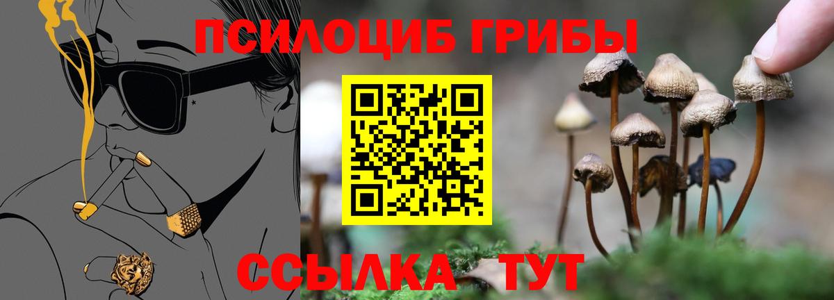 Галлюциногенные грибы GOLDEN TEACHER Краснотурьинск